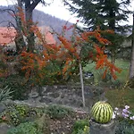 Szeruskert Vendeghaz * Szarvaskő