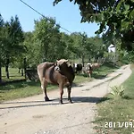 Dom wakacyjny Szeruskert Vendeghaz
