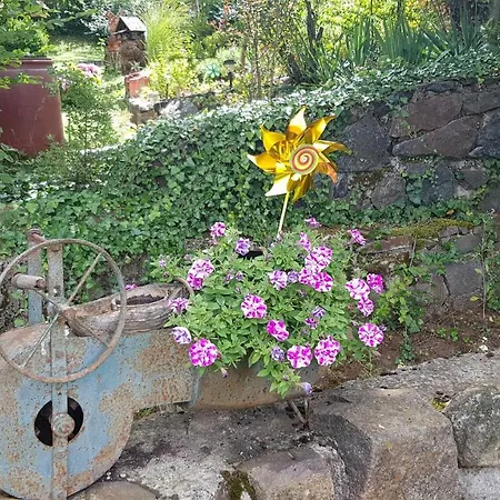 Szeruskert Vendeghaz * Szarvaskő