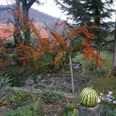 Szeruskert Vendeghaz * Szarvaskő