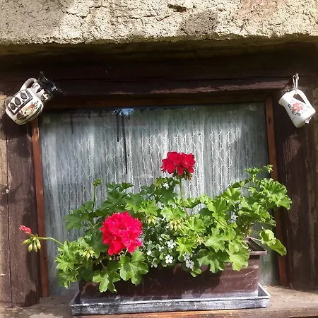 Szeruskert Vendeghaz Case de vacanță Szarvaskő