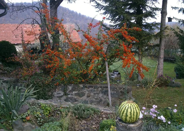 Szeruskert Vendeghaz * Szarvaskő